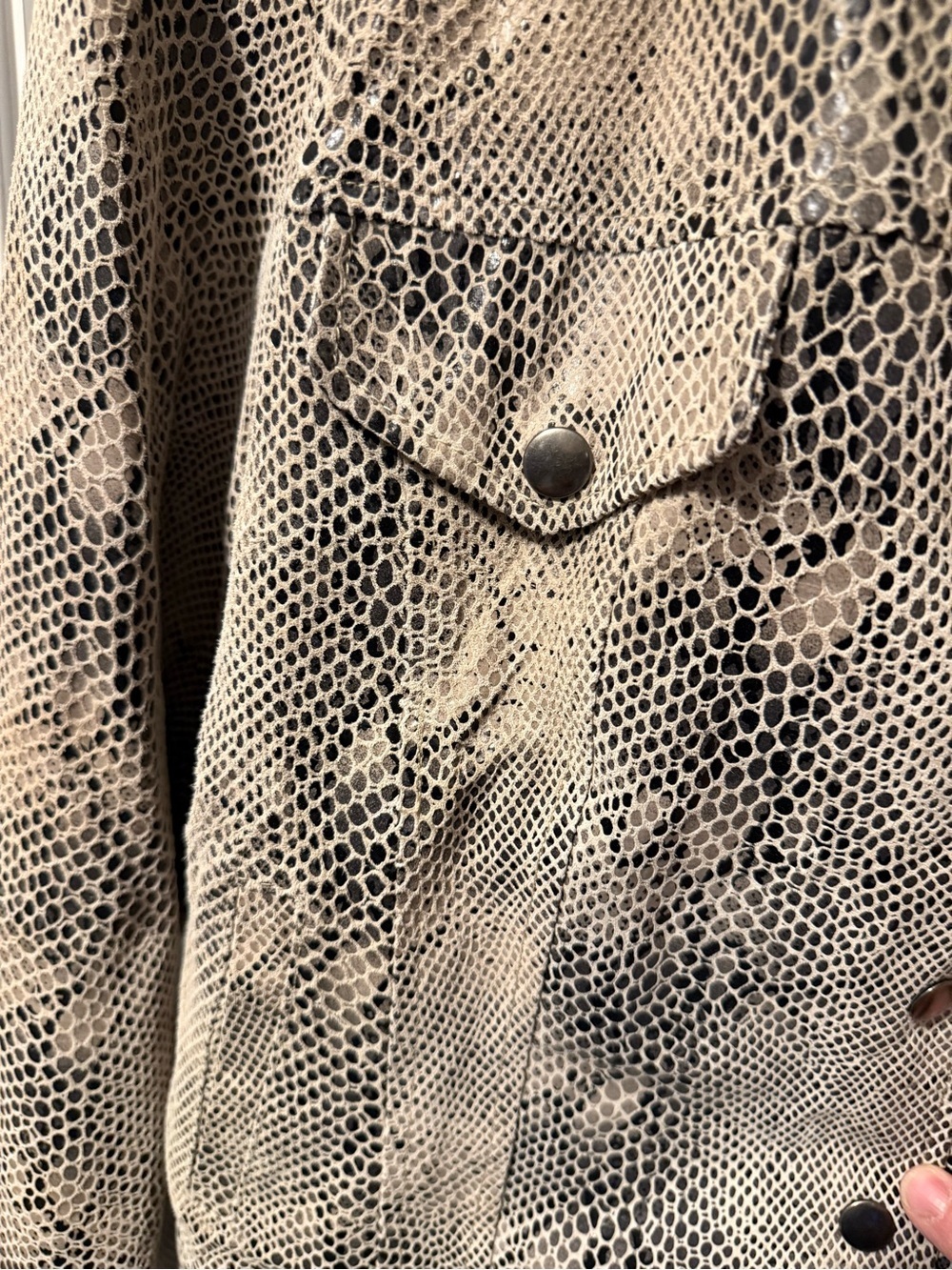 Liz Claiborne Beige Snake-Print Leather Jacket - Picture 4 of 10